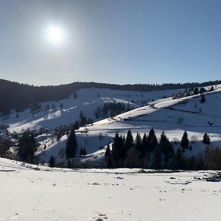 Haus Wiesenquelle, Deluxe-Apartment 'Feld & Berg' Feldberg  Dış mekan fotoğraf