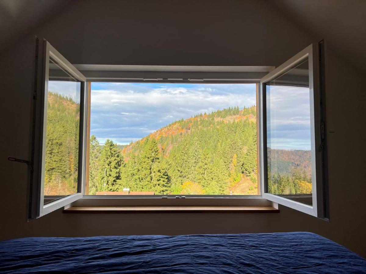 Haus Wiesenquelle, Deluxe-Apartment 'Feld & Berg' Feldberg  Dış mekan fotoğraf